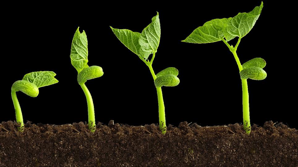 U.S. Biostimulants Market Shows Exceptional Growth Momentum