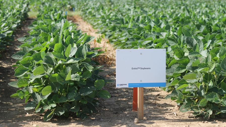 Corteva Field Day Addresses Lingering Issues