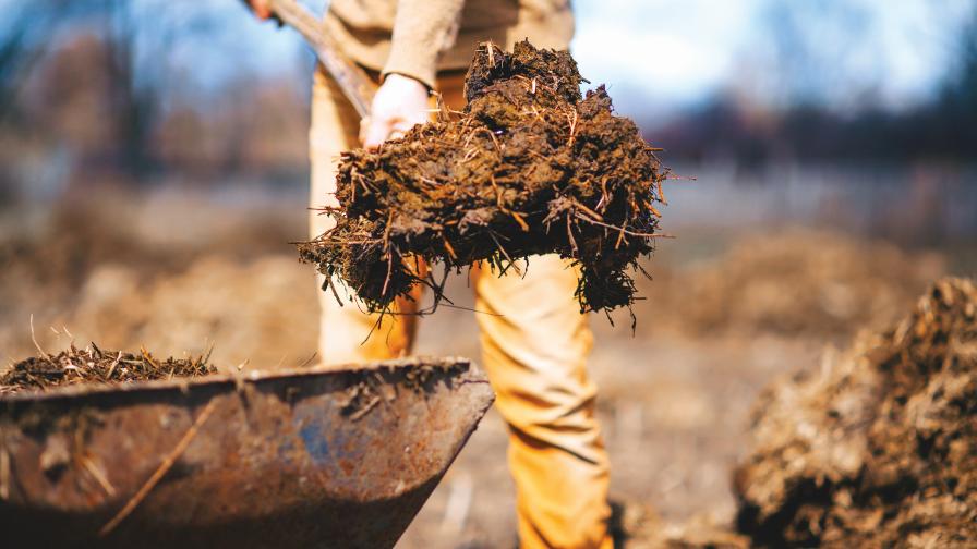 Estimating Nitrogen Credit from Manure