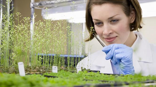 Parry America Opens New Biopesticide Facility in Oklahoma