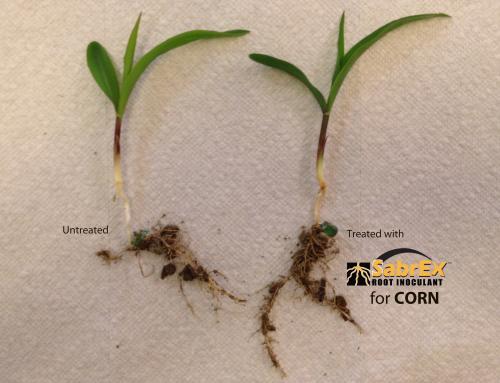 Biologicals and Seed Treatments: Handle with Care
