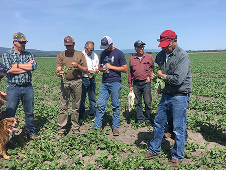 Finding More Profit in Every Acre