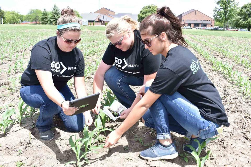Parkland College Approves New Career Program Degree, Certificates