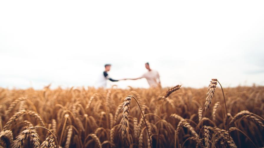 FBN’s Global Crop Solutions Opens New Doors for Ag Retail Partners