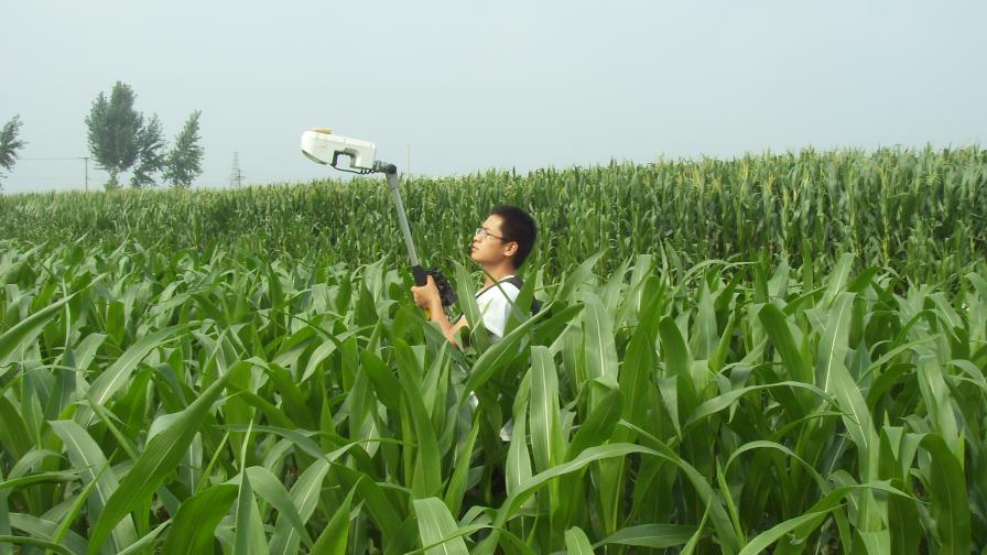 Light Sensor Tools Help Growers, Service Providers Make Sense of Nitrogen