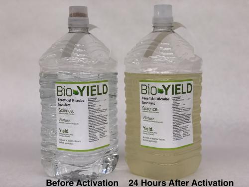 Biofertilizers Taking More Steps Forward