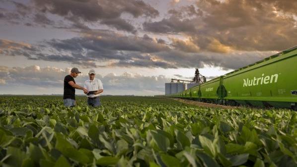Nutrien Hoarding Chemicals from China in Case Trade War Gets Worse
