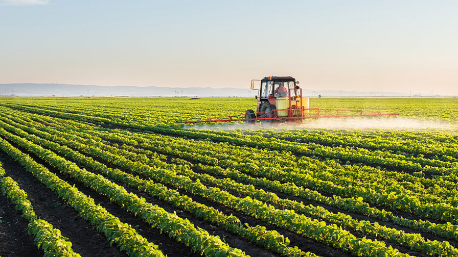 EPA Releases Summary of Dicamba-Related Incident Reports from the 2021 Growing Season
