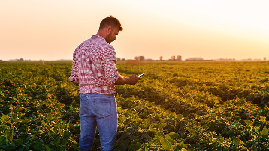 Crop Protection Moves Focus to Managing Weed Control Systems