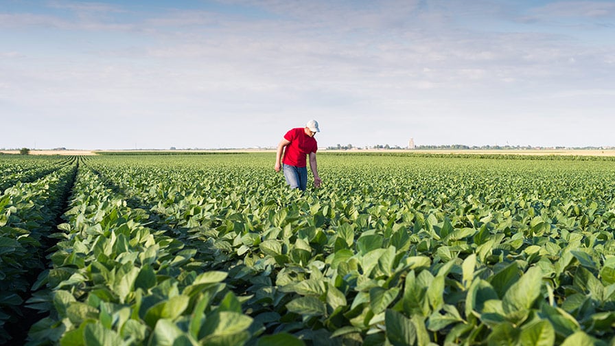 Coronavirus to Dicamba: The Numbers Game for Agriculture
