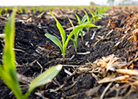 Verdesian: Seed Treatment Can Make a World of Difference this Spring