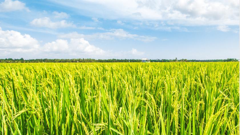 Indigo Ag’s Data Dive