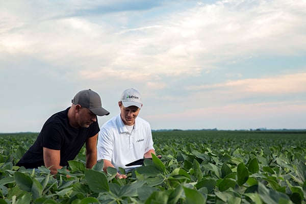 Right Information at the Right Time: How Connectivity Can Strengthen the Relationship Between Ag Retailers and Farmers