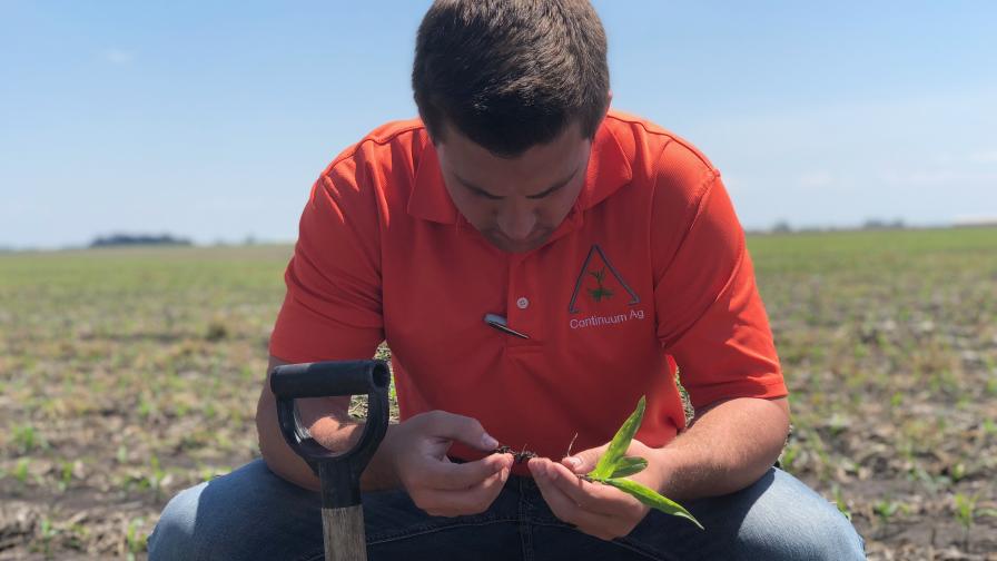 Continuum Ag: Digging Into Soil Health