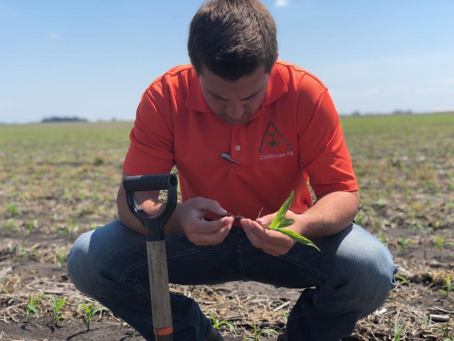 Continuum Ag, CIBO Technologies Form Strategic Partnership to Incentivize Regenerative Agriculture