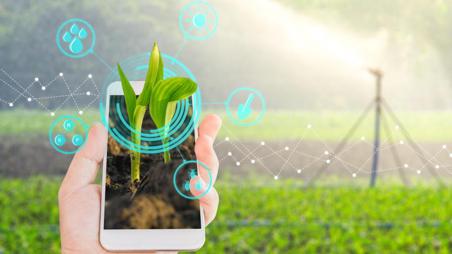 On the Go with Mobile Tools in Precision Agriculture