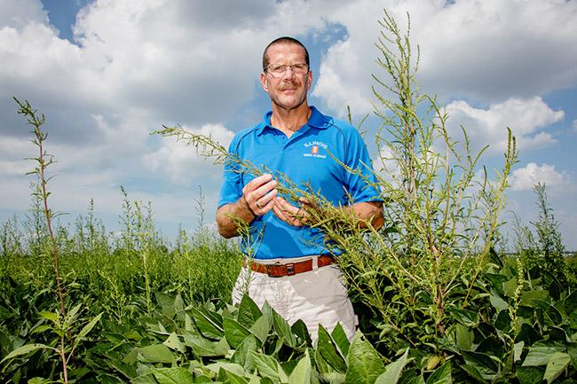 Study: Superweed Resists Another Class of Herbicides