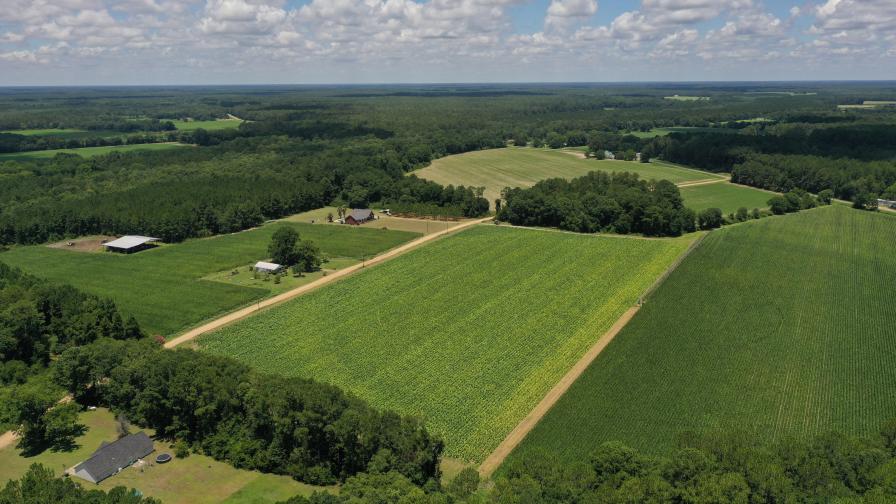 ADAMA’s New Ag Service Provides Analysis of Aerial Data