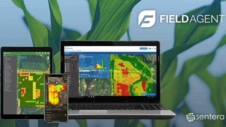 Sentera FieldAgent Analytics Toolset Expands to Include Tassel Counts
