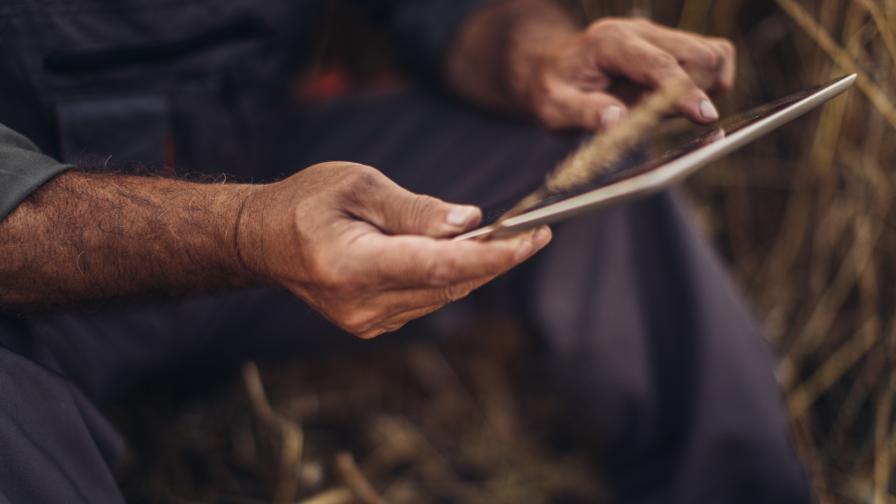 GrainBridge Launches New Grain Marketing Digital Platform