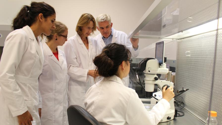 BioConsortia Moves a New Wheat Seed Treatment into Registration Phase