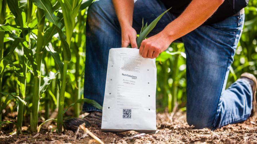 Tissue Sampling Reveals 5 Key Plant Health Trends