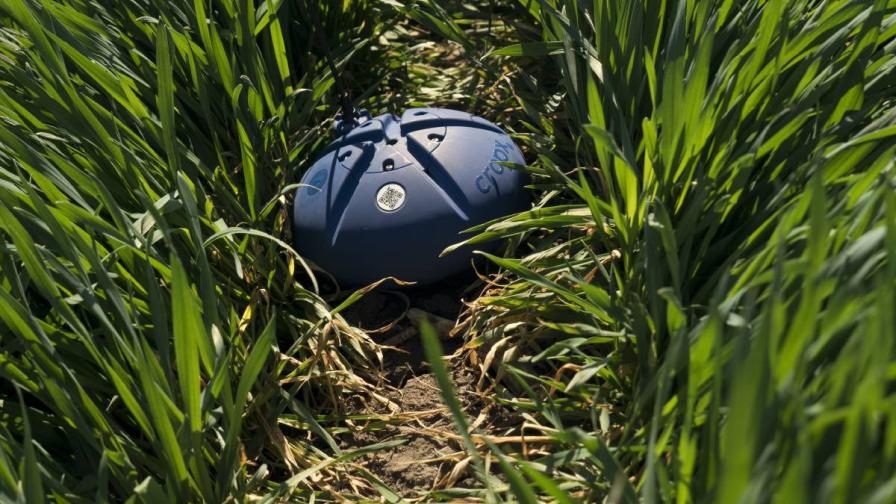 Smart Sensors, Smarter Yields: What Ag Retailers Need to Know About the Silent Drivers of Precision Farming