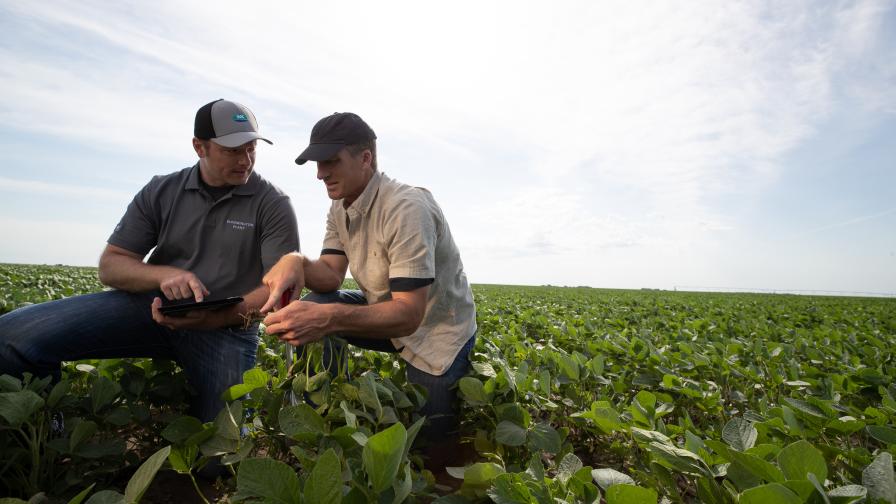 Seed Companies Anticipate a Resilient New Year