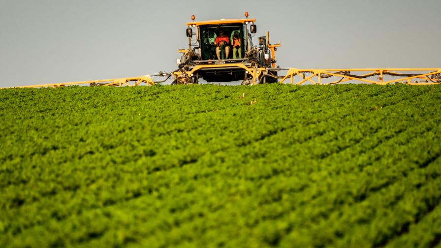 How 2019 Impacts Fungicide Decisions This Season