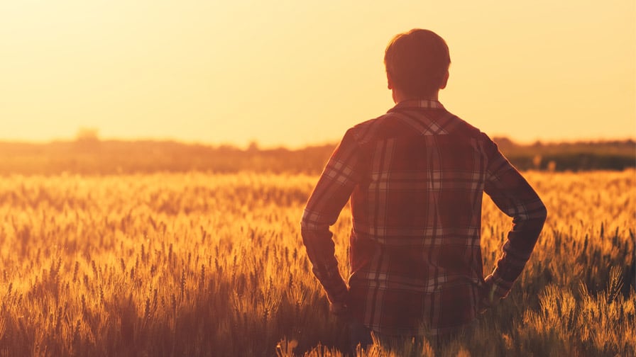 This Website Will Find Your Next Job in Agriculture