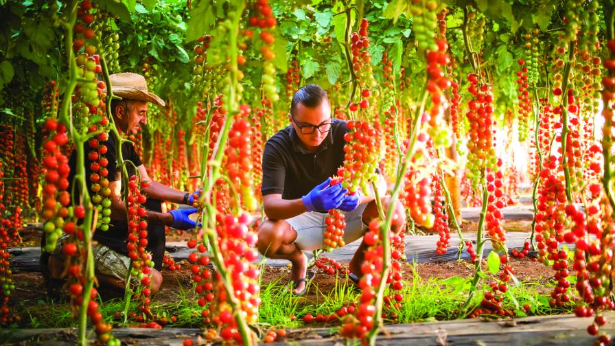 10 Disruptive Trends for Crop Protection