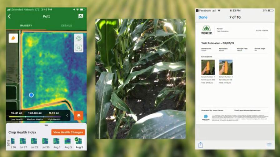 New Pioneer Seeds App Functionality Improves Customer Collaboration