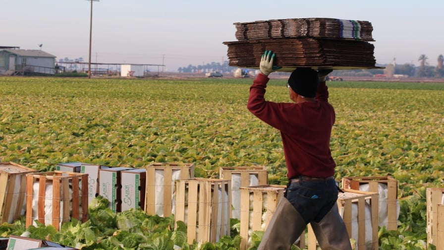 The Case for Food and Agriculture Is Critical in Trying Times