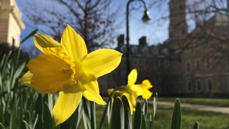 Top 40 Agriculture Schools in the World for 2020