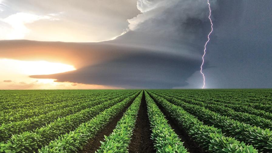 The Storm Before the Calm in American Agriculture