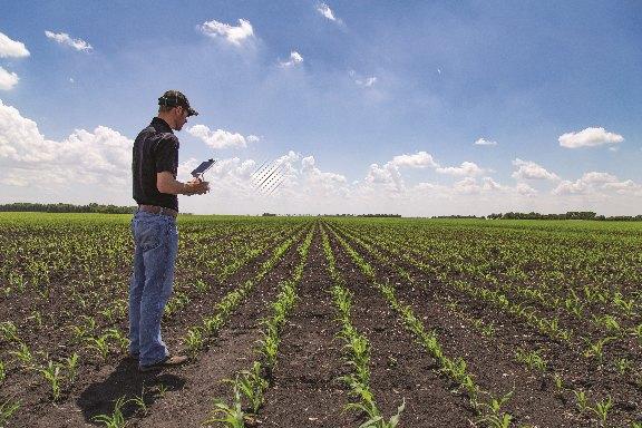 Making Sense of the 4 V’s of Big Data in Agriculture