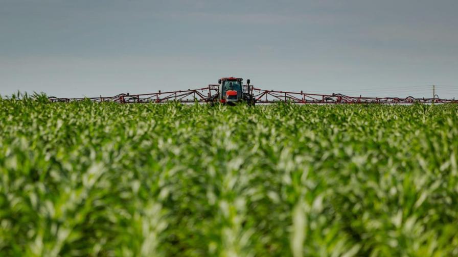 Glyphosate Chalks Up Another Court Victory