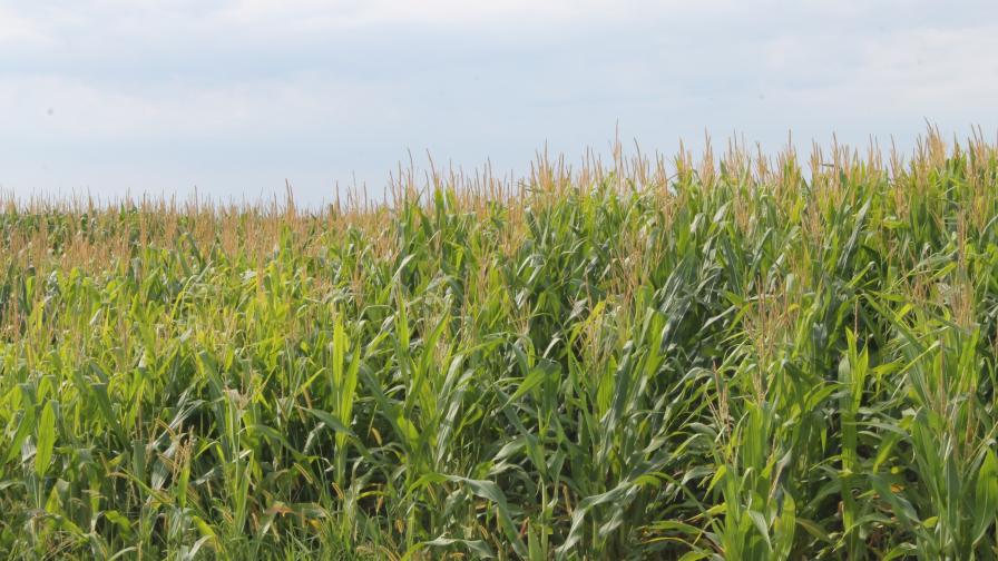 Ag Logic Acquires Yield Igniter