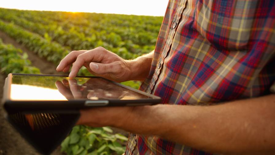 Indigo Agriculture Changes Grain Marketing Identity to Market+ by Indigo