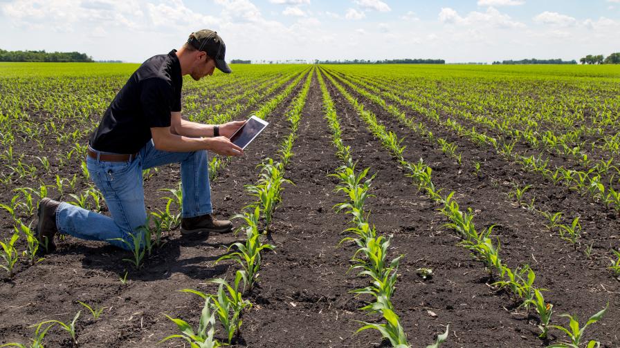 The Upside of COVID-19’s Long Shadow in Agriculture