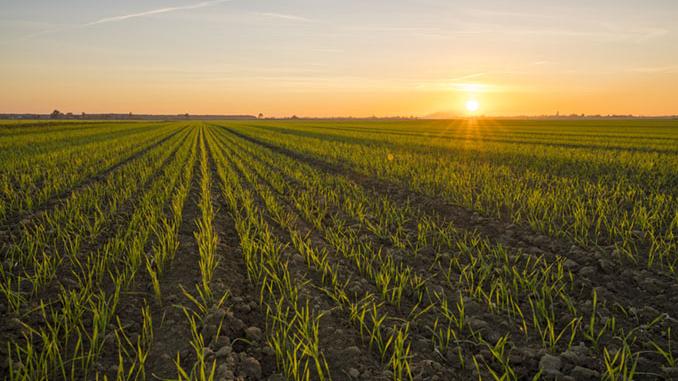 Global Agribusiness Innovators Unite to Launch Agtech Powerhouse, EverAg