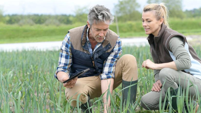 Four Important Ways YOU Can Be the Grower’s Sherpa to Ag Technology