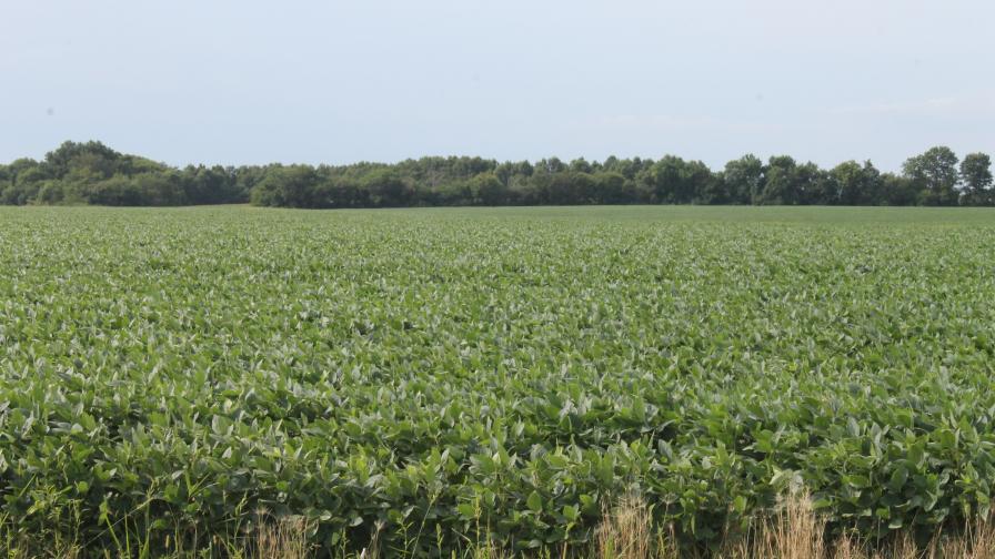 How One Ohio Farmer Is Leveraging Technology to Enhance Nutrient Management