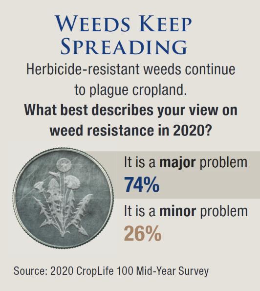 Weeds Keep Spreading