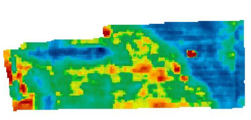 Figure 1 NDVI Map