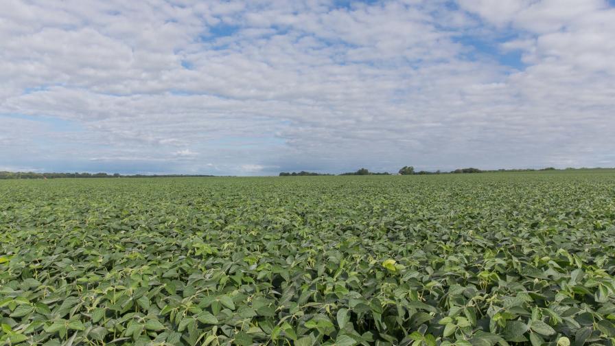 Robb Fraley Joins Harpe Bioherbicide Solutions Board of Directors
