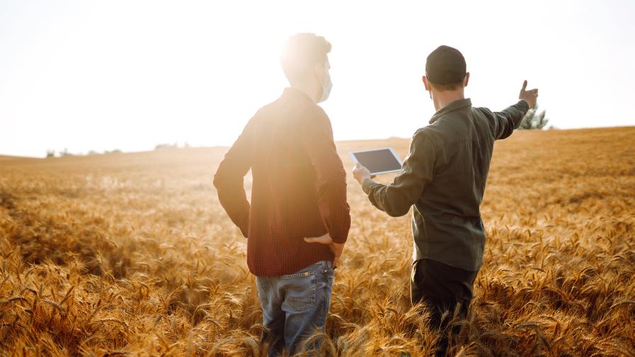 An Ode to the Survivors in Agriculture