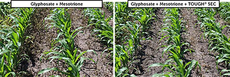 An Alternative Mode of Action to get TOUGH on resistant weeds