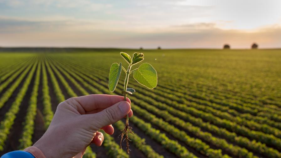 How Biological Products Are Poised to Make Their Mark in U.S. Agriculture