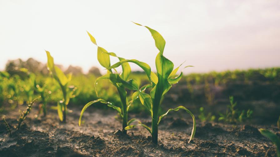 Farmers Business Network Launches On-Farm R&D Network for Real-World Biological Trials for Farmers and Manufacturers